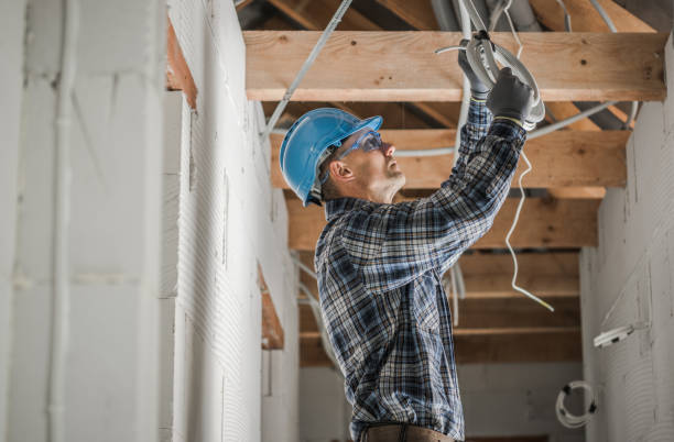 Best Outdoor Lighting Installation  in Avonia, PA