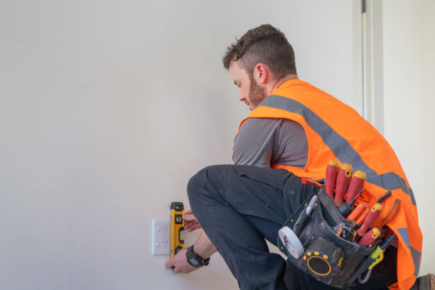 Best Ceiling Fan Installation Electrician  in Avonia, PA