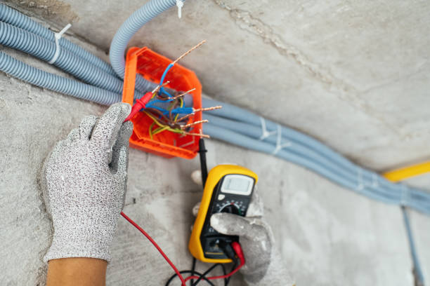 Best Electric Panel Repair  in Avonia, PA
